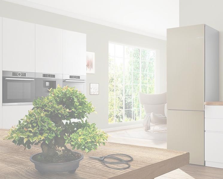 Використайте персональну пропозицію!