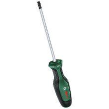 Викрутка Bosch TX30x125 мм (1600A03DT6)