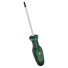 Викрутка Bosch TX20x100 мм (1600A03DT4)