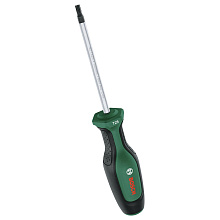 Викрутка Bosch TX25x100 мм (1600A03DT5)